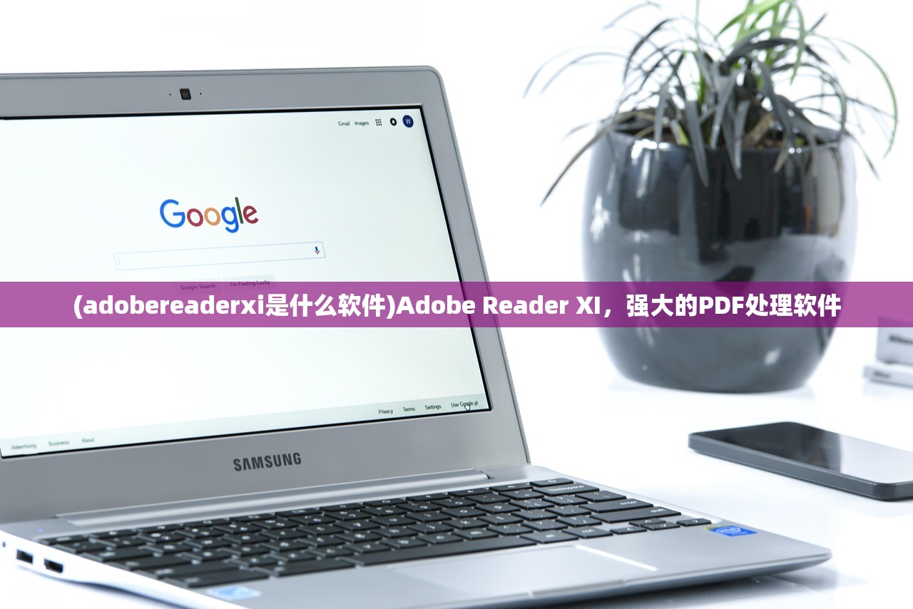 (adobereaderxi是什么软件)Adobe Reader XI，强大的PDF处理软件