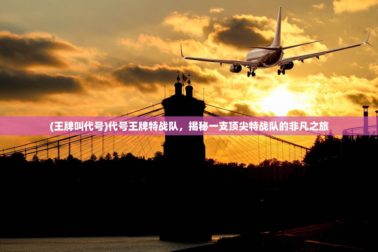 (王牌叫代号)代号王牌特战队，揭秘一支顶尖特战队的非凡之旅