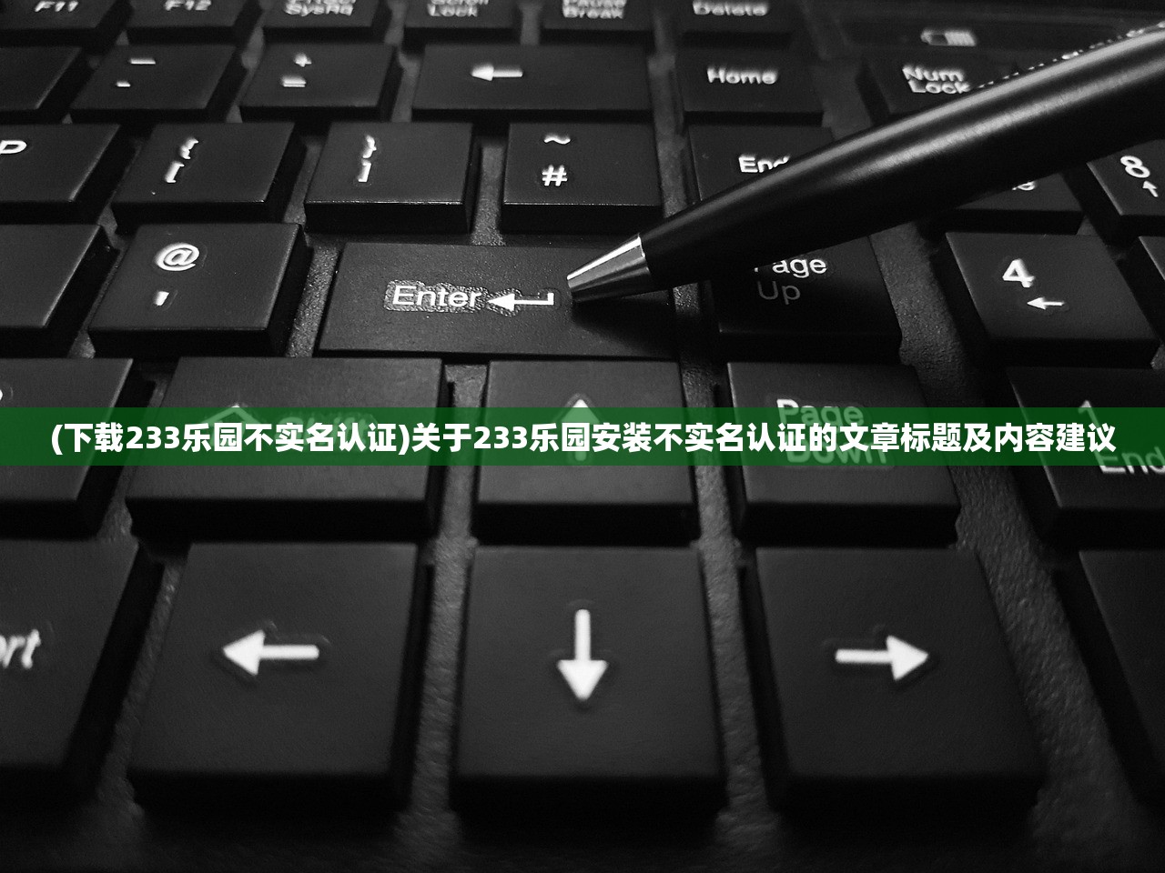 (下载233乐园不实名认证)关于233乐园安装不实名认证的文章标题及内容建议