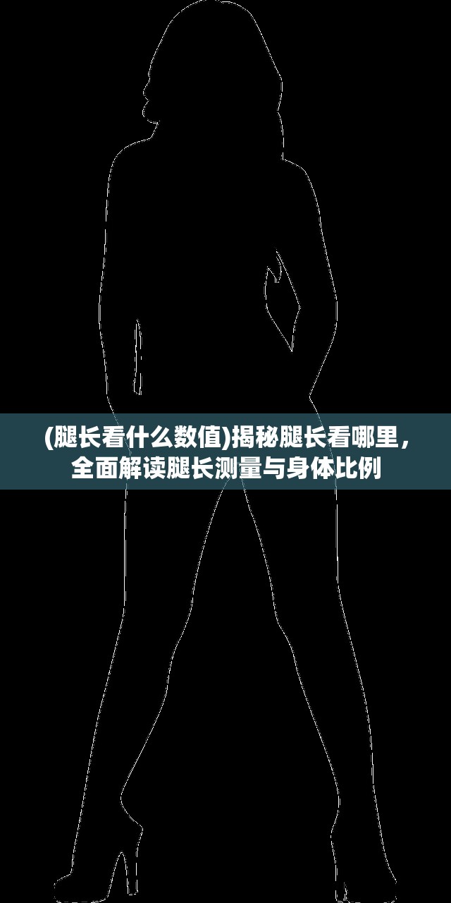 (腿长看什么数值)揭秘腿长看哪里，全面解读腿长测量与身体比例