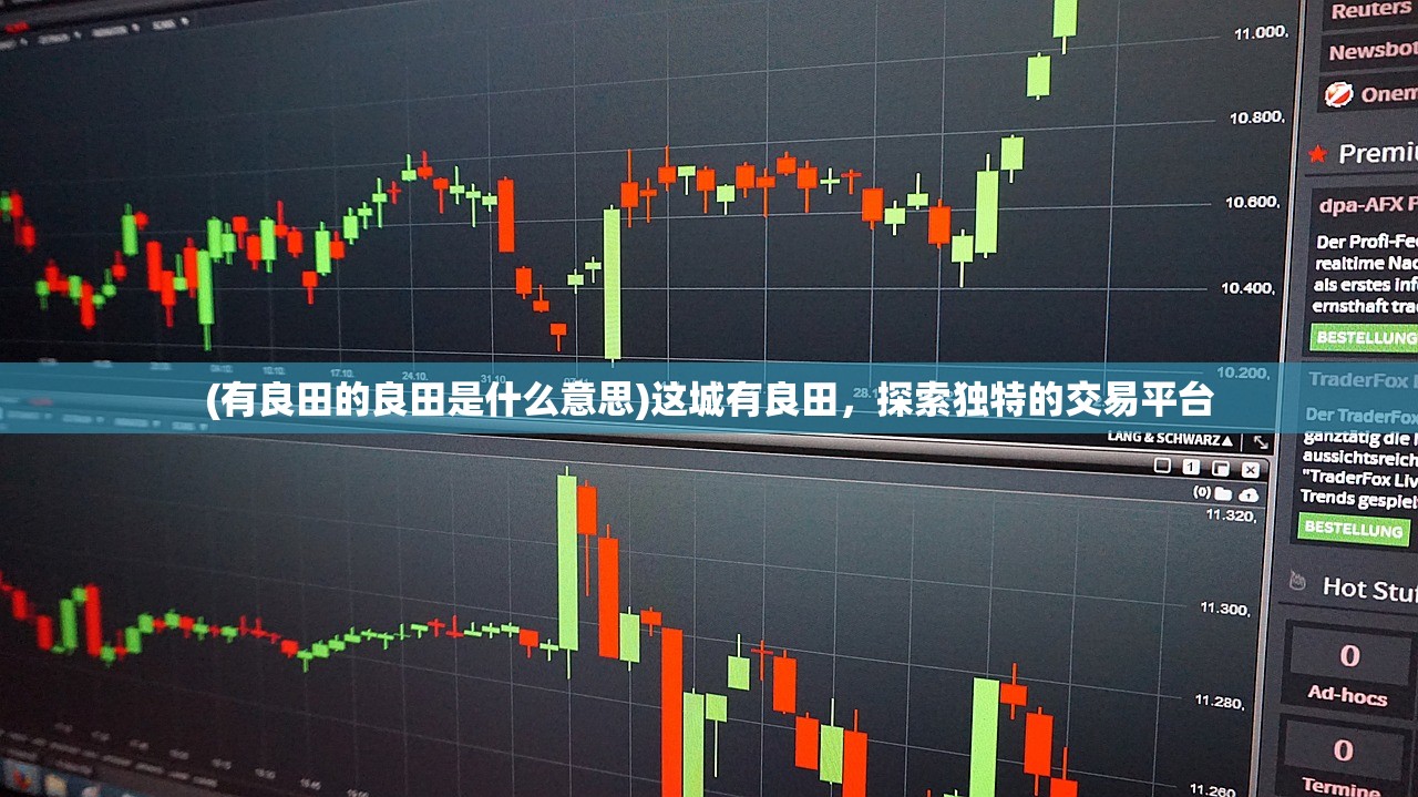 (有良田的良田是什么意思)这城有良田，探索独特的交易平台