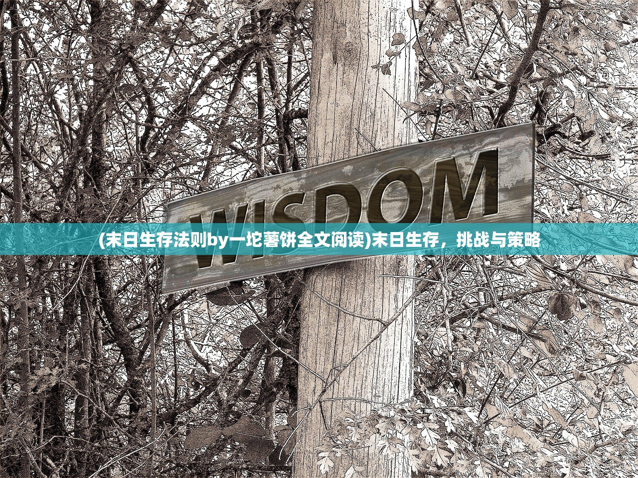 (末日生存法则by一坨薯饼全文阅读)末日生存，挑战与策略