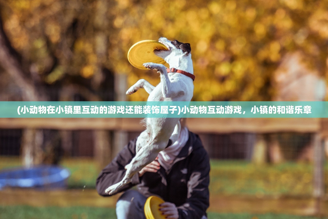 (小动物在小镇里互动的游戏还能装饰屋子)小动物互动游戏，小镇的和谐乐章