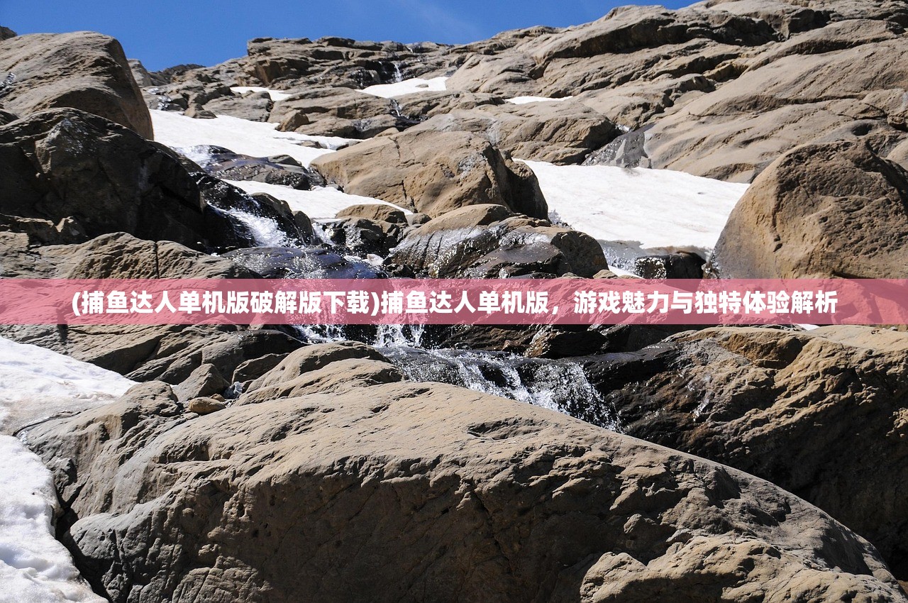 (捕鱼达人单机版破解版下载)捕鱼达人单机版，游戏魅力与独特体验解析