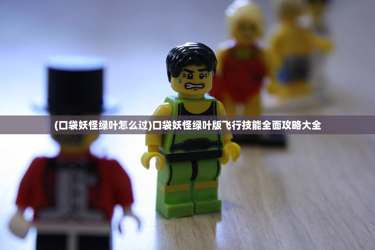 (口袋妖怪绿叶怎么过)口袋妖怪绿叶版飞行技能全面攻略大全