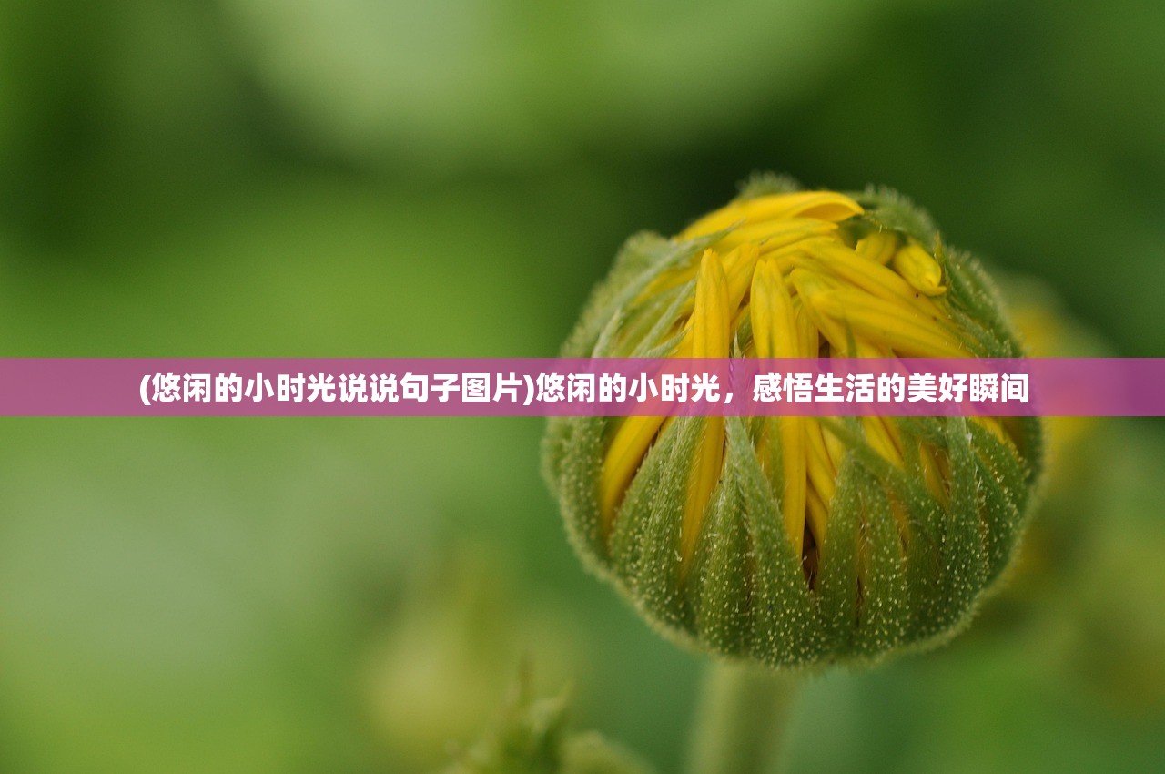 (悠闲的小时光说说句子图片)悠闲的小时光，感悟生活的美好瞬间