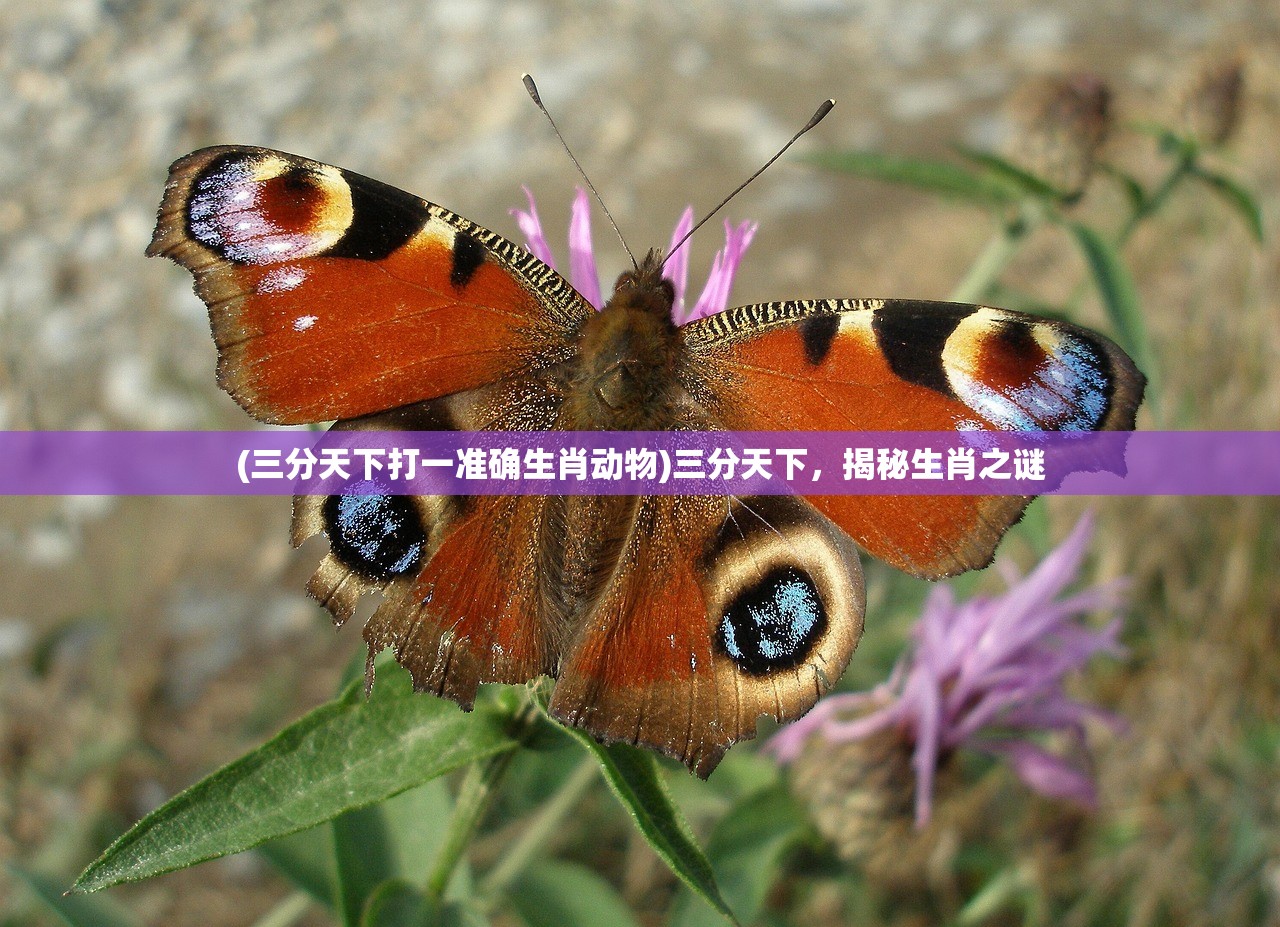 (机动战队wiki官网)机动战队Wiki资料库，深入解析与常见问题解答