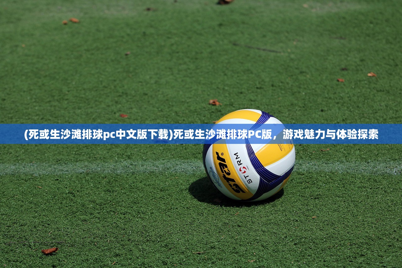 (死或生沙滩排球pc中文版下载)死或生沙滩排球PC版，游戏魅力与体验探索