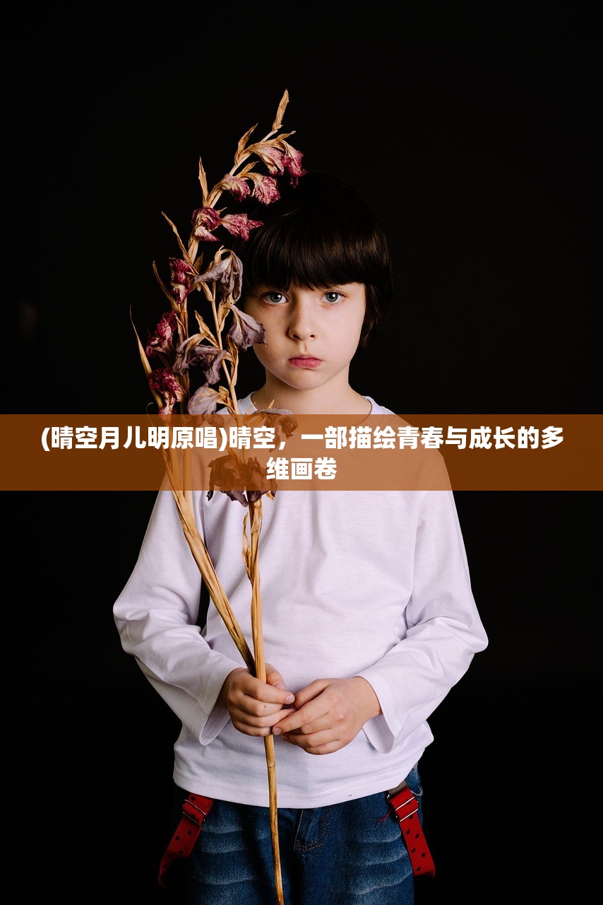 (晴空月儿明原唱)晴空，一部描绘青春与成长的多维画卷