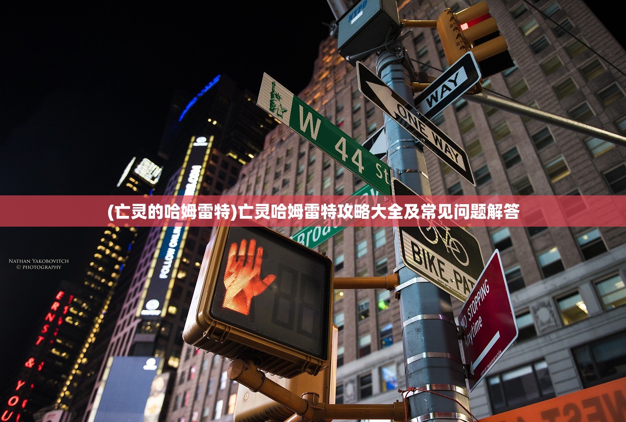 (亡灵的哈姆雷特)亡灵哈姆雷特攻略大全及常见问题解答