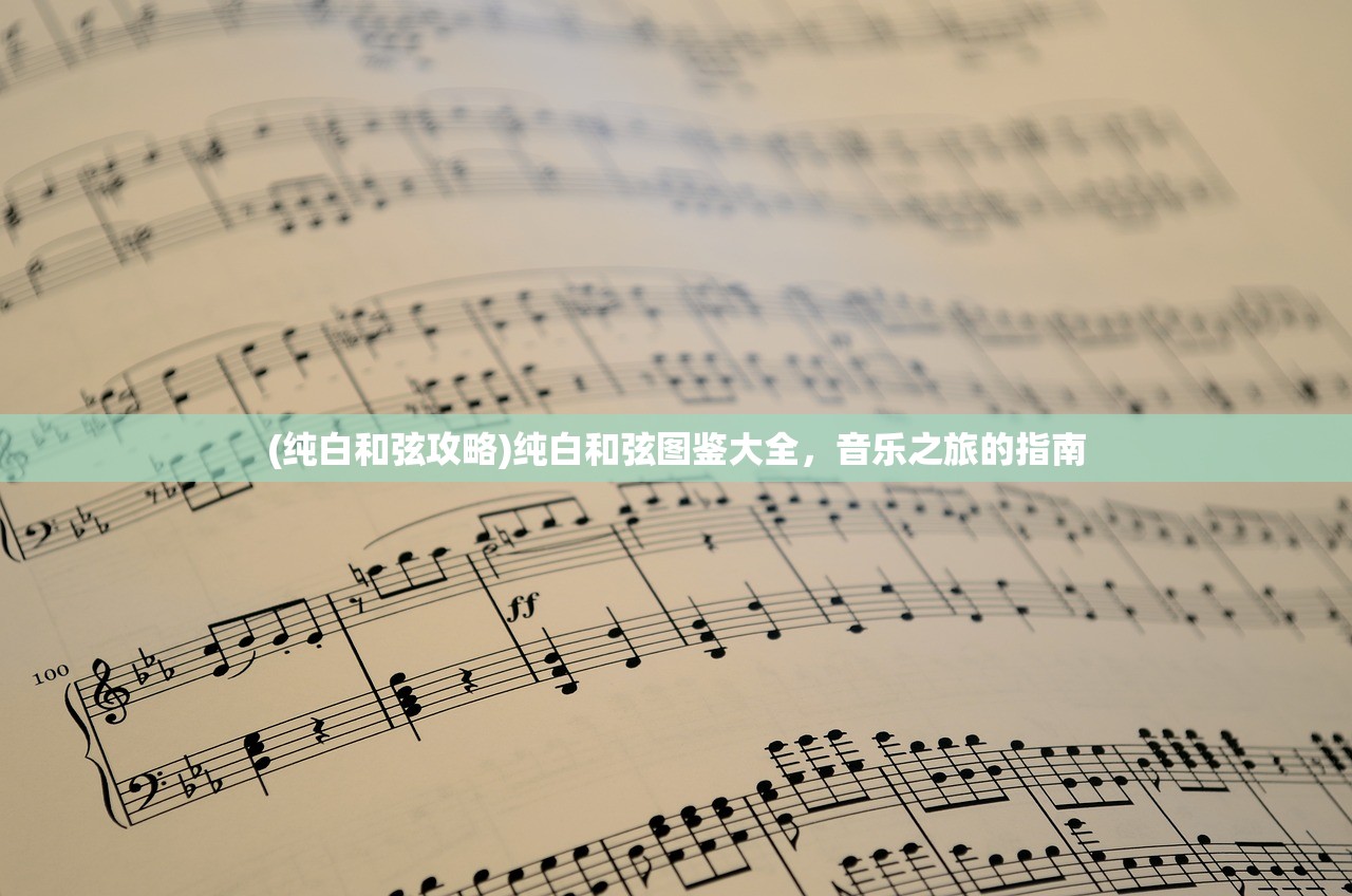 (纯白和弦攻略)纯白和弦图鉴大全，音乐之旅的指南