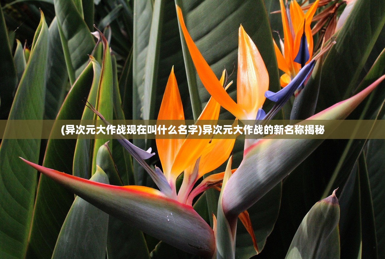 (异次元大作战现在叫什么名字)异次元大作战的新名称揭秘