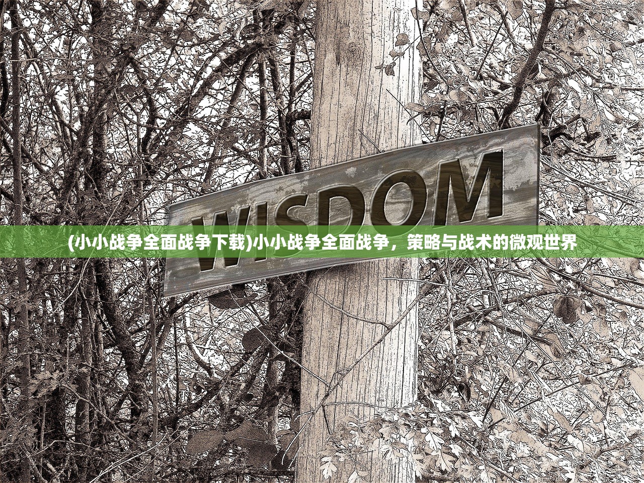 (小小战争全面战争下载)小小战争全面战争，策略与战术的微观世界